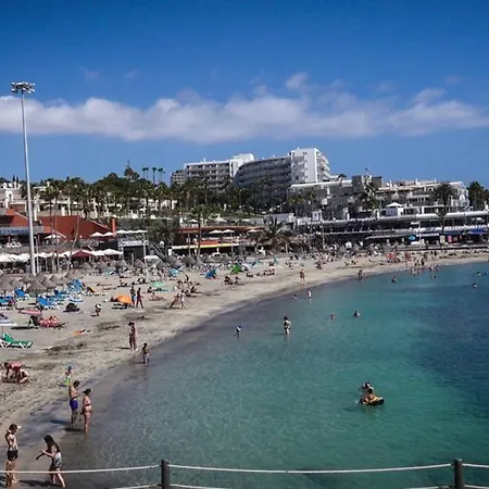 Tenerife, Costa Adeje أذيخي