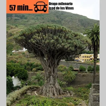 Tenerife, Costa Adeje